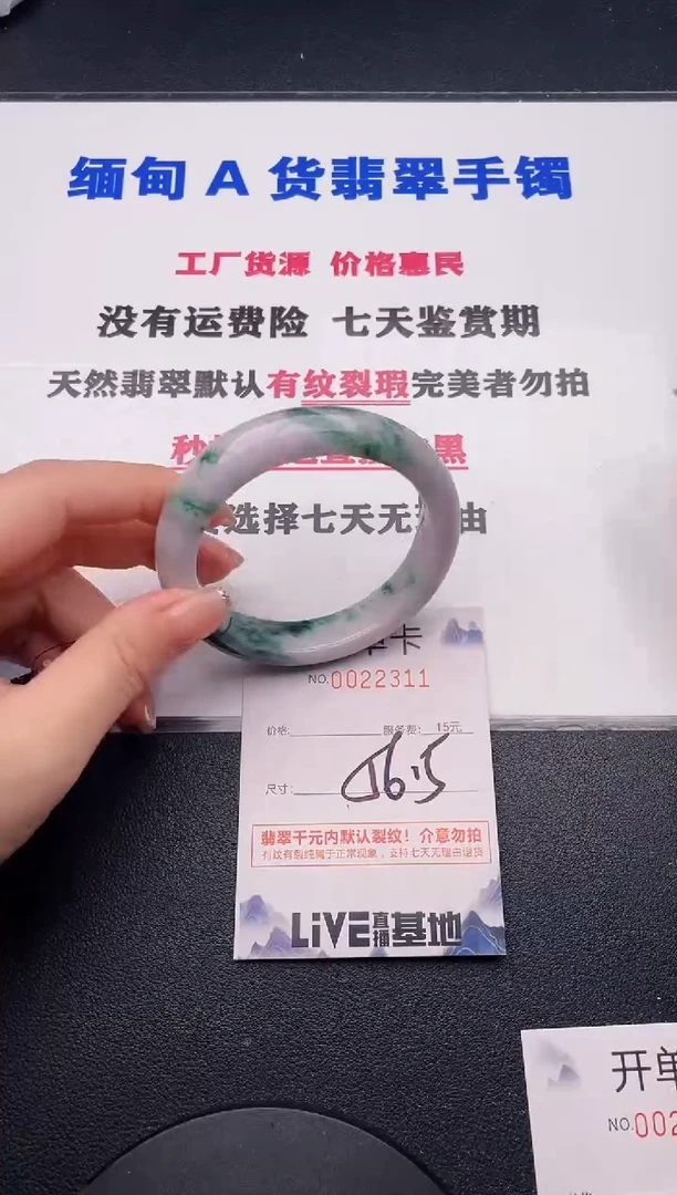 未镶嵌手镯翡翠11
