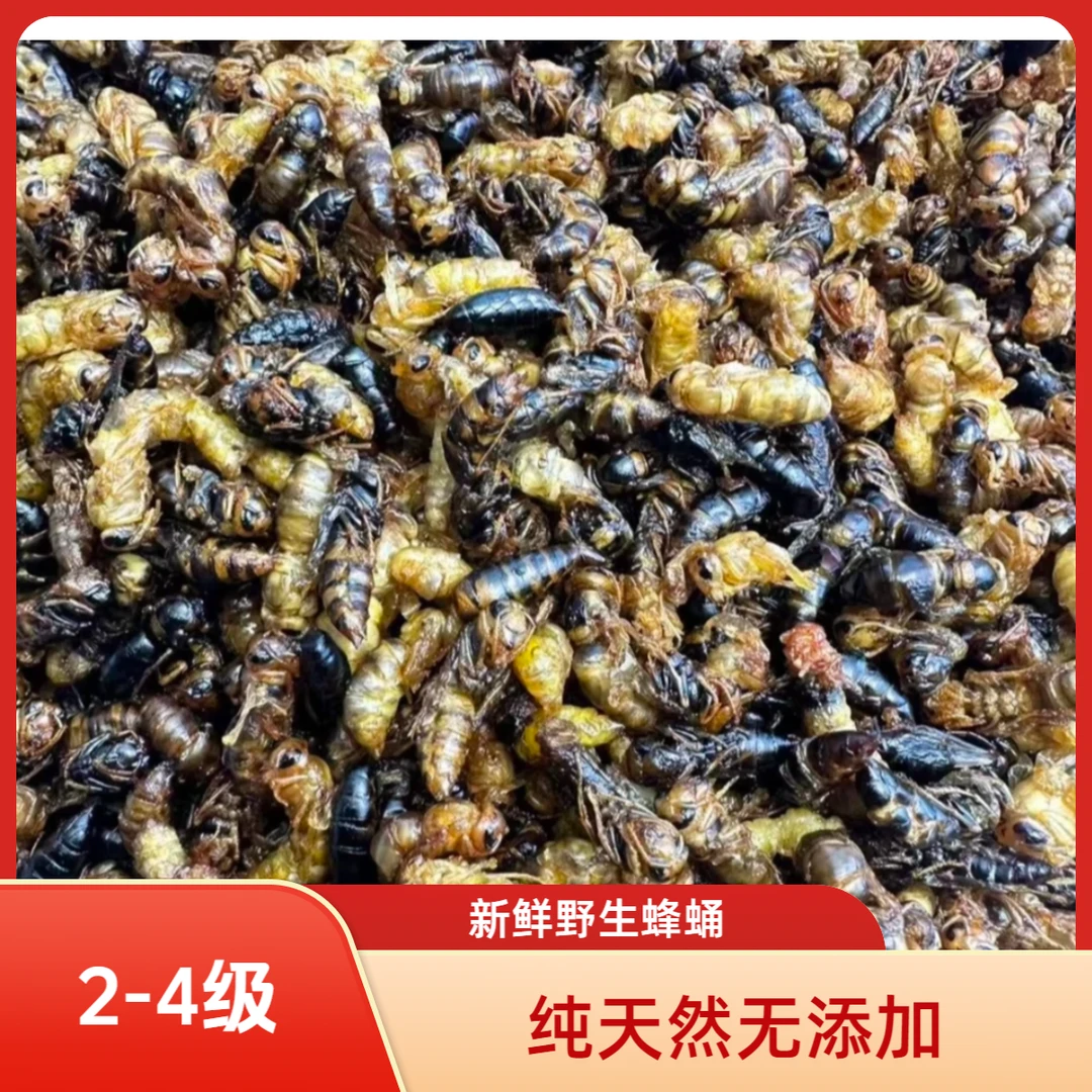 2-4级【无内脏】小黄小黑美味油炸蜂蛹树蜂黄脚蜂七里蜂
