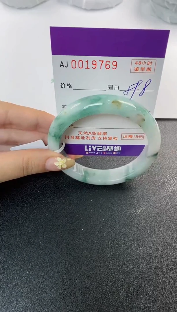 未镶嵌手镯翡翠天然A货翡翠