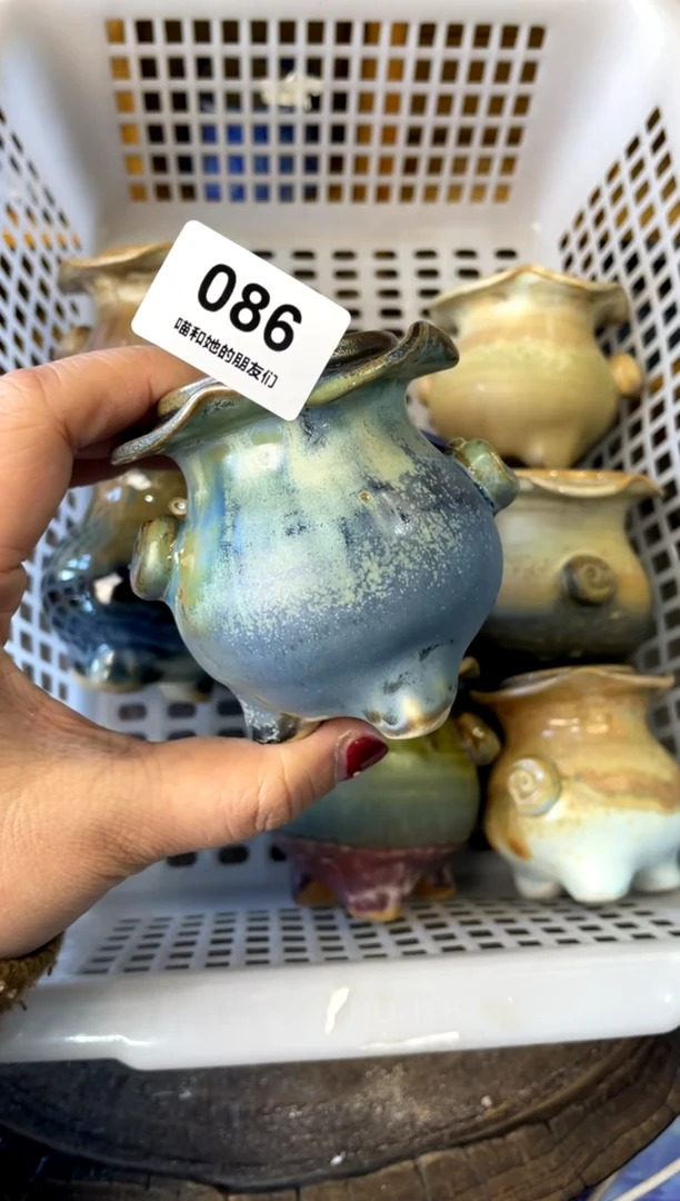 【闪购商品】陶086