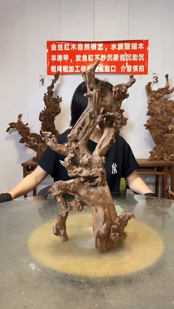 香榧木和*亮金丝红木   羊蹄甲