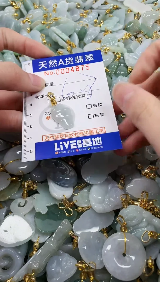 颈饰未镶嵌翡翠纯天然a货翡翠