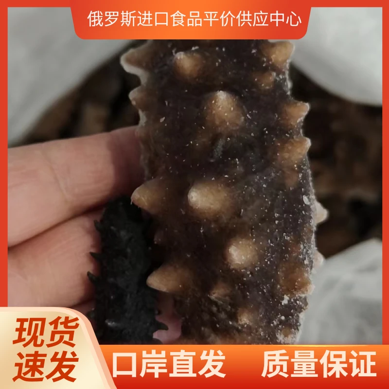 俄罗斯即食海参原货进口即食500克