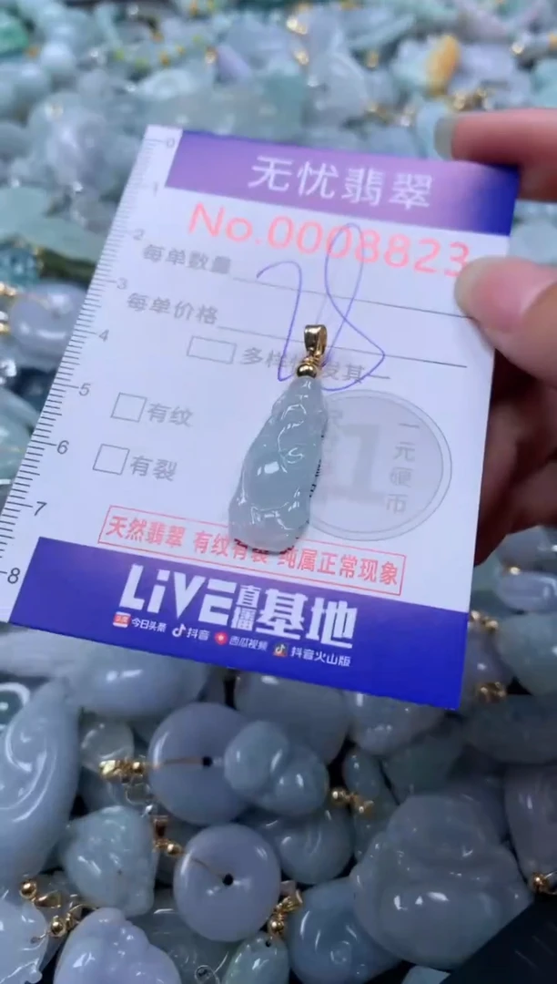 翡翠未镶嵌吊坠(不含链)8823
