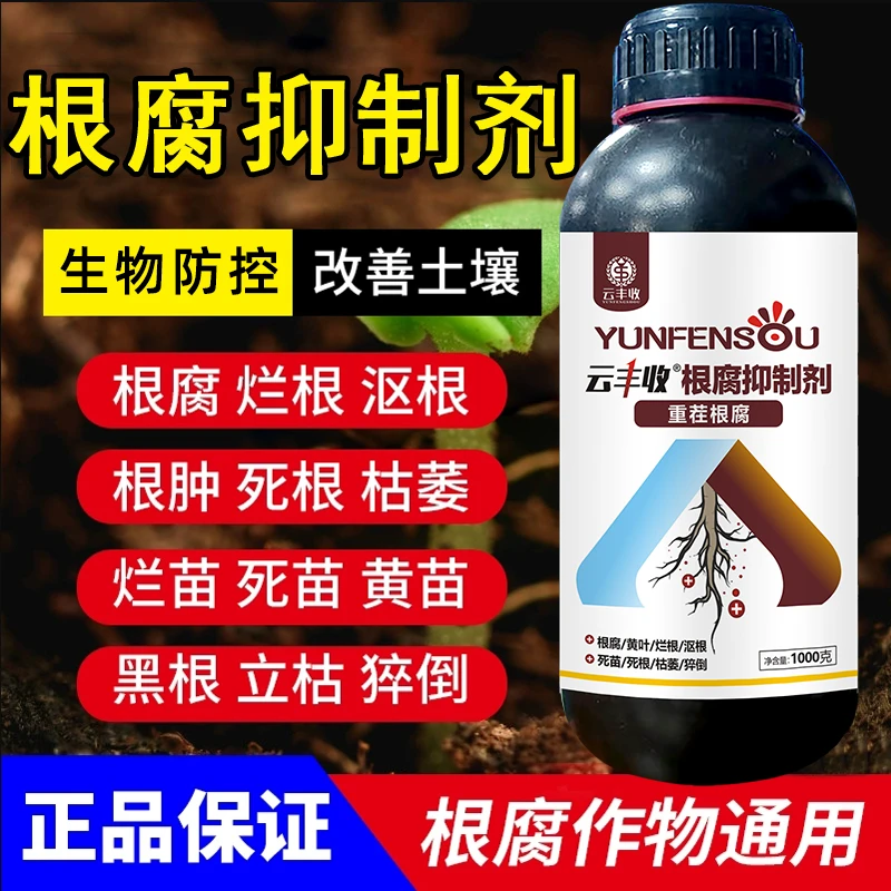 云丰收死棵僵苗青枯农作物专用根腐抑制剂生根壮苗促生新根