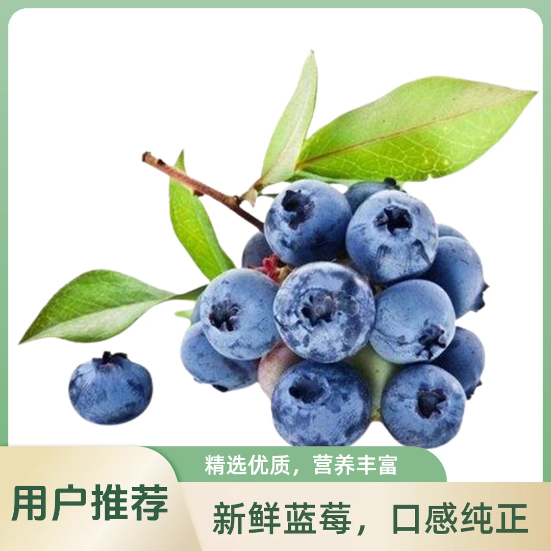蓝Q蓝莓125g12mm云南省