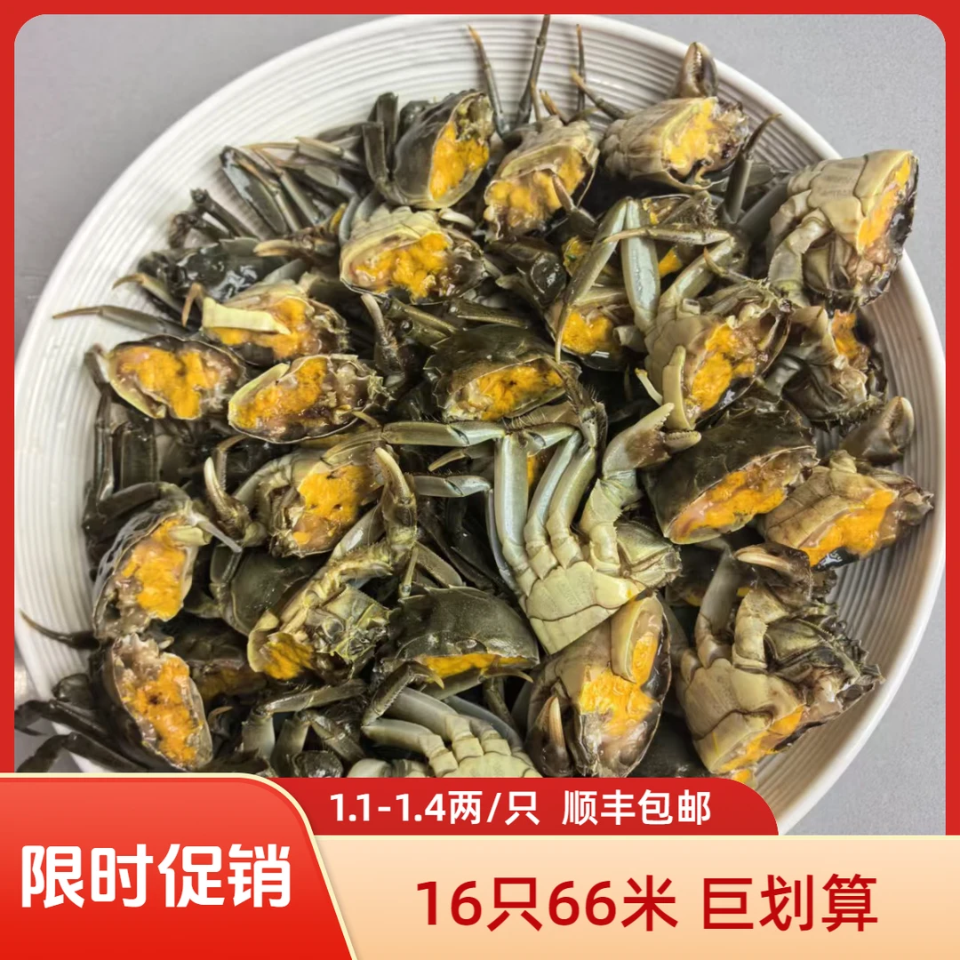 16只螃蟹青蟹1.1两-1.4两/只 顺丰包邮次日达