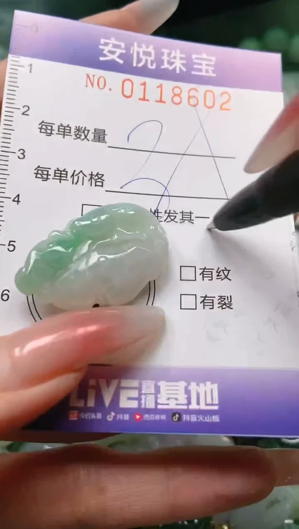 【闪购商品】翡翠颈饰未镶嵌闪购0118602