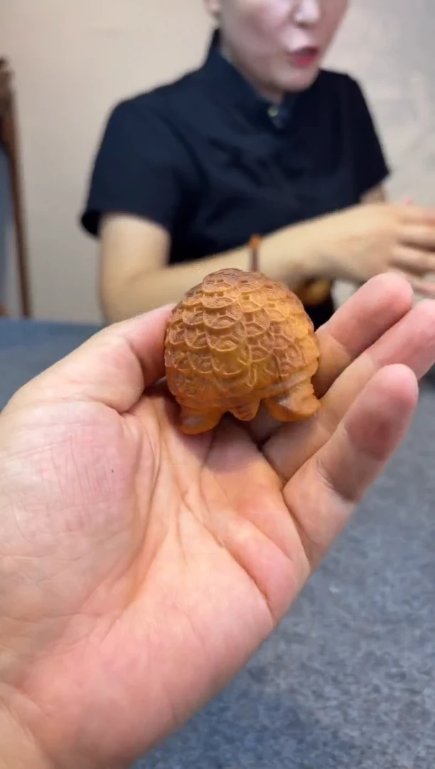 柏木（崖柏）崖柏崖柏