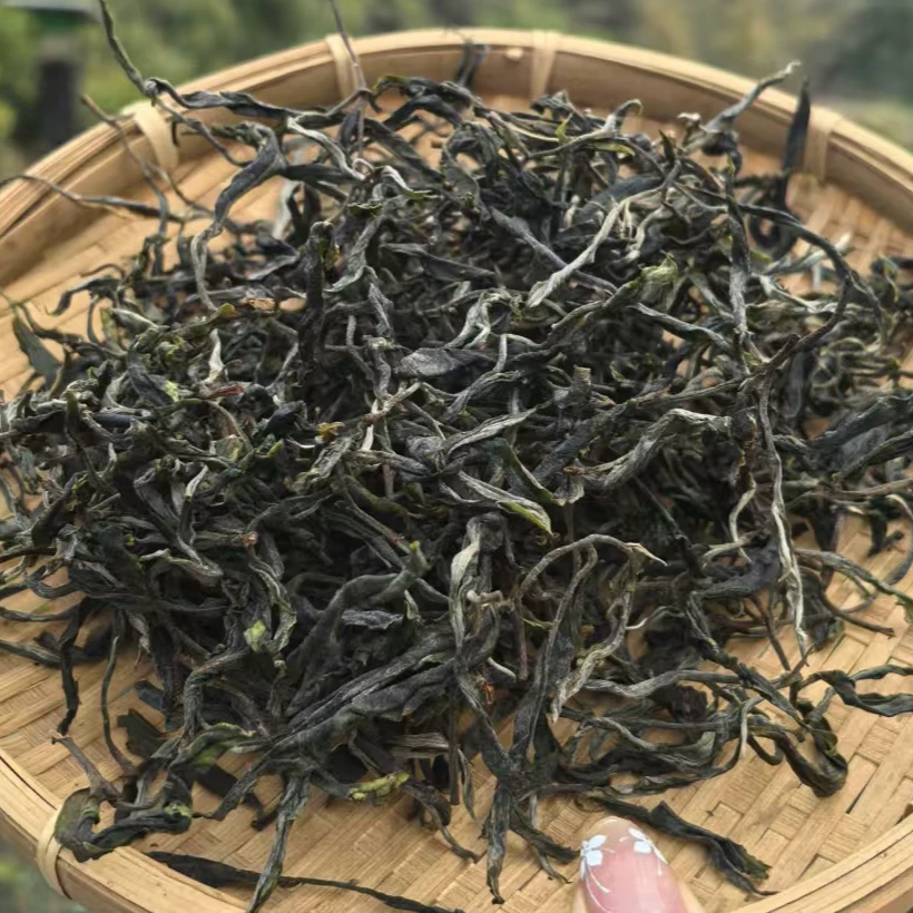 2025年小户赛核心区古树春茶纯料