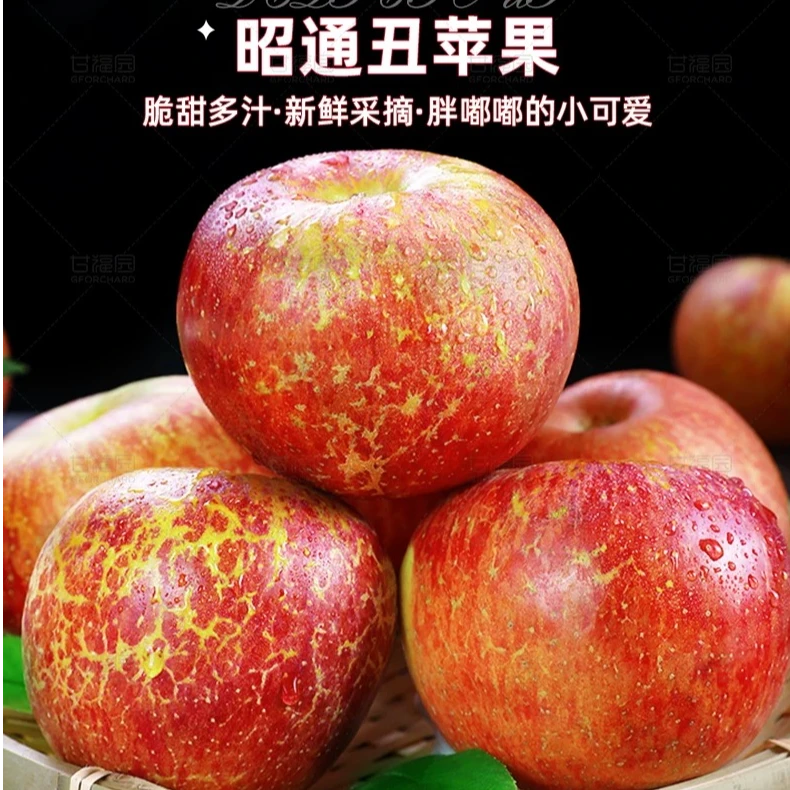 正宗云南昭通高原红露丑苹果脆甜多汁