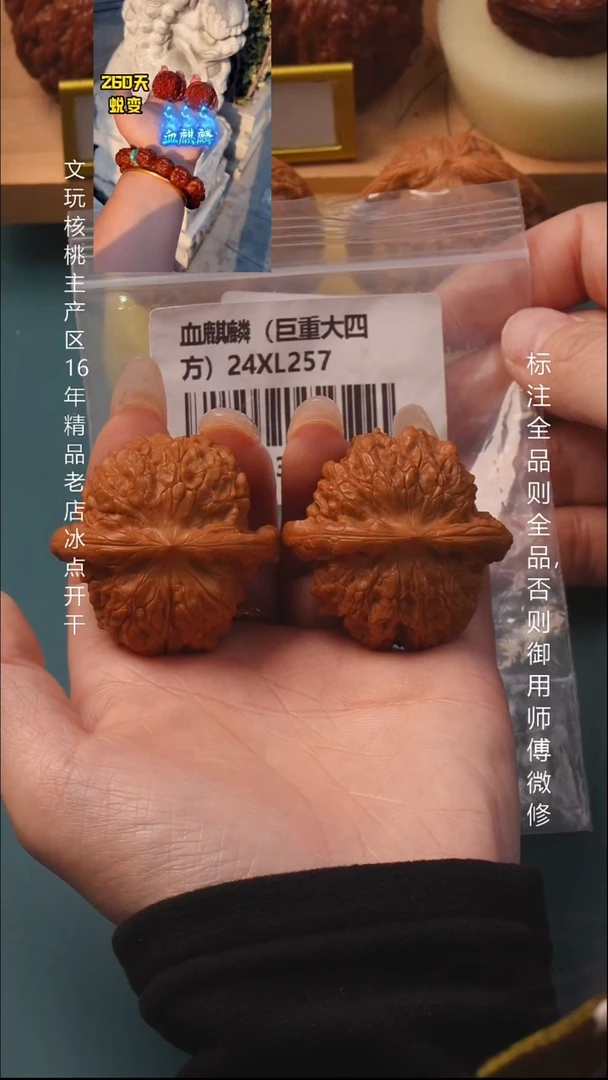 把件文玩核桃44血麒麟 6号