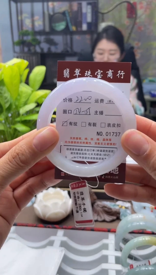 未镶嵌手镯翡翠1737****