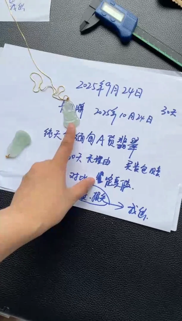 吊坠(不含链)18K金镶嵌翡翠天然缅甸A货翡翠多样性发其一