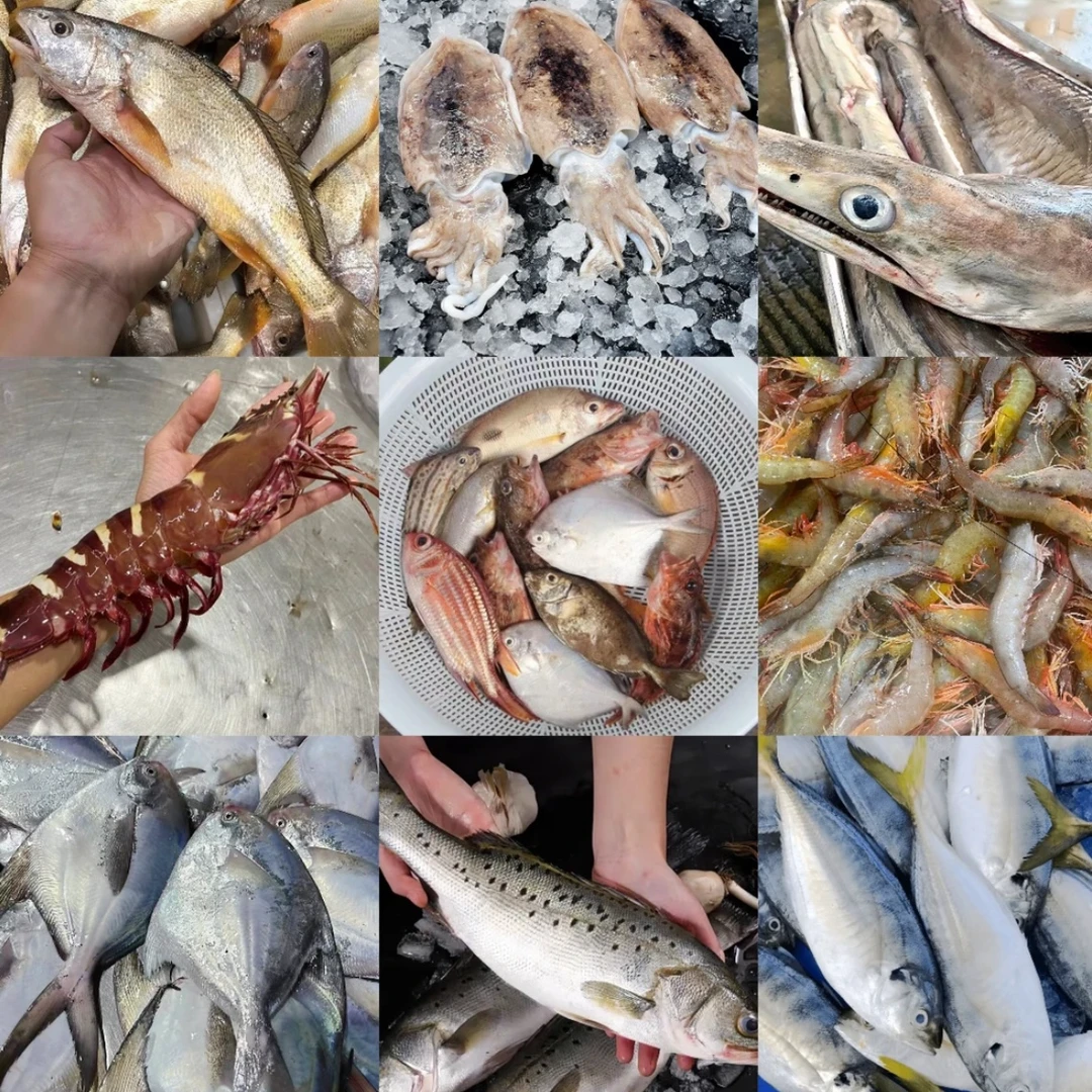 【海鲜套餐3】 一条手钓鱿鱼 泥猛鱼1斤 金线鱼1斤 白滑鱼1斤