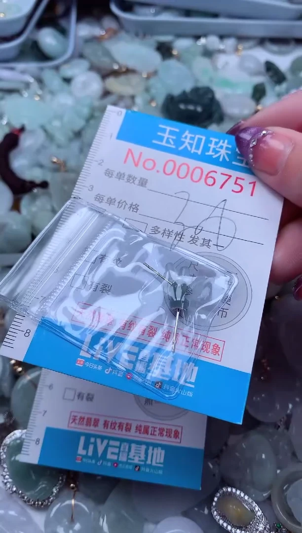 翡翠未镶嵌吊坠(不含链)6751