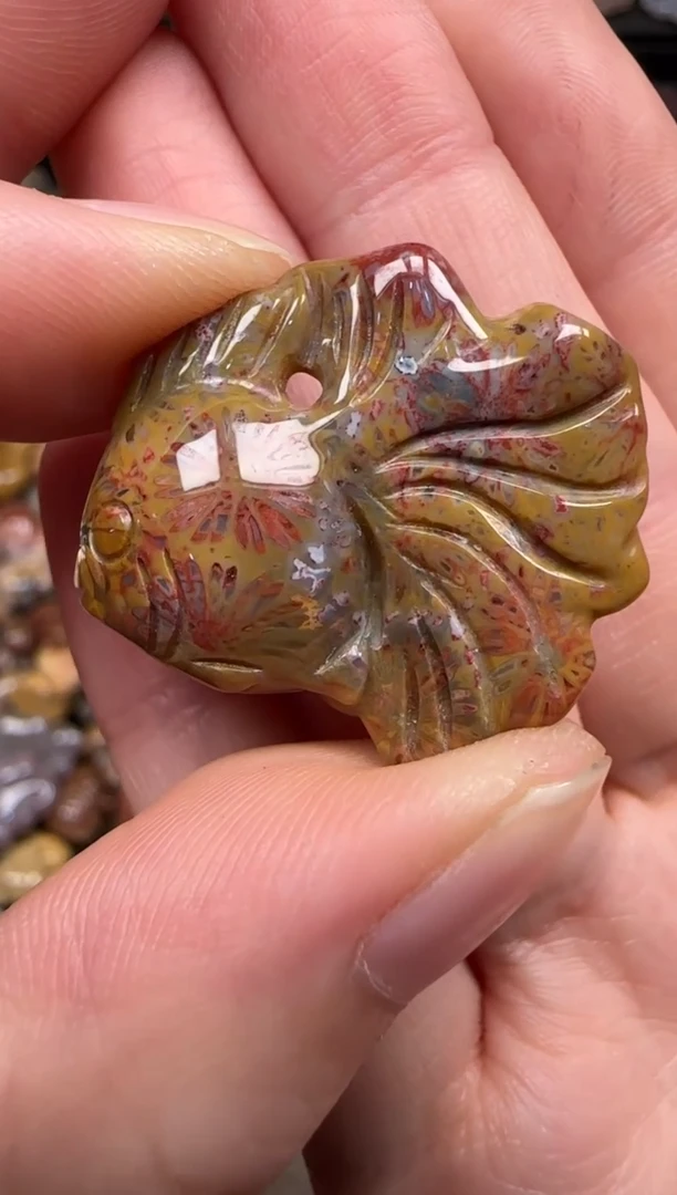 硅化珊瑚（珊瑚玉）未镶嵌颈饰214