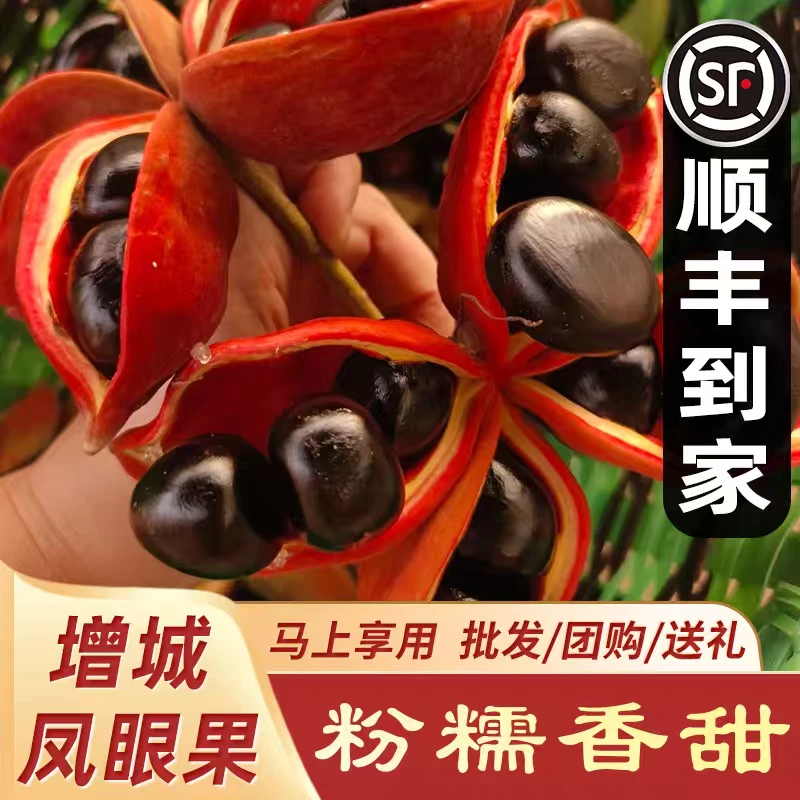 增城凤眼果萍婆六旺果九层皮果新鲜采摘产地直发包邮