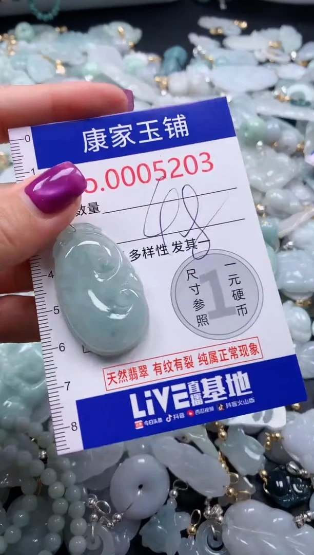 颈饰未镶嵌翡翠5203
