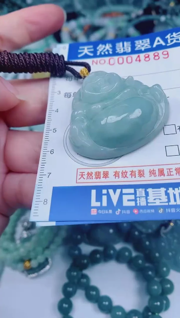 颈饰未镶嵌翡翠00004889