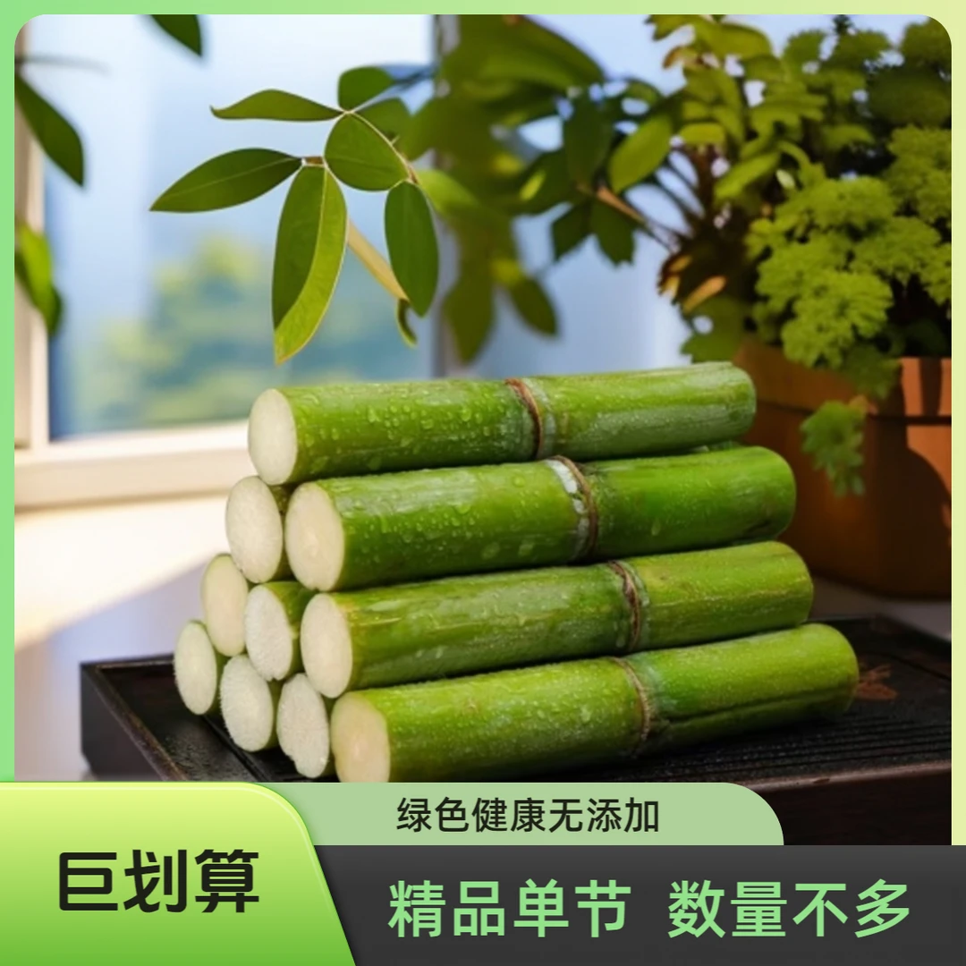 【精品装】陶山新鲜脆皮青皮甘蔗（一个果节）
