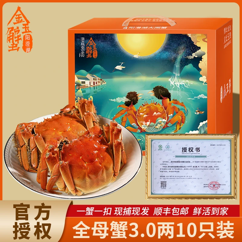 【活蟹】全母蟹3两母 8+2到手10只装阳澄湖塘蟹正宗阳澄湖大闸蟹