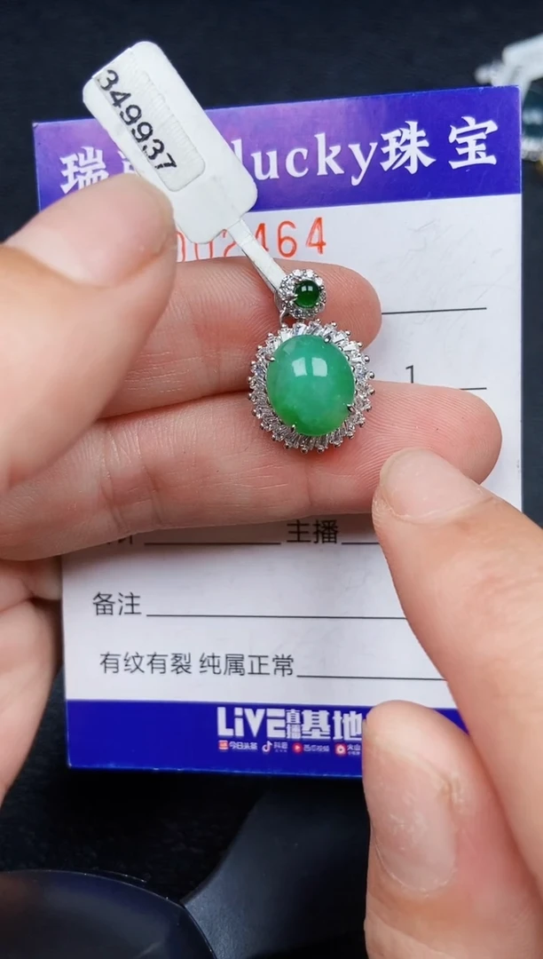 翡翠银S925镶嵌颈饰2464