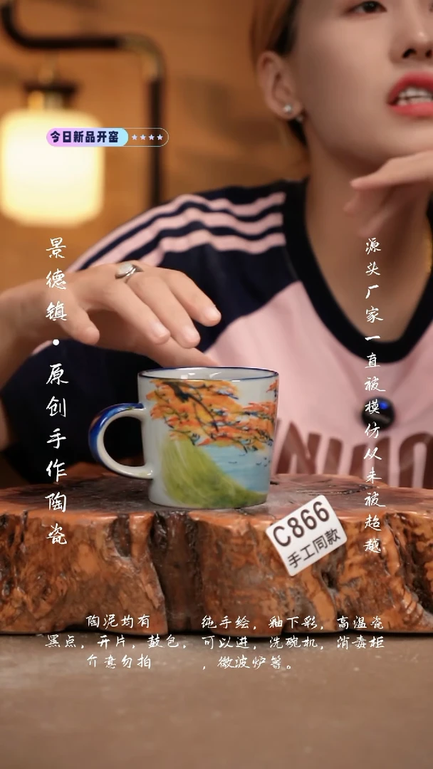 其他C866新十二器瓷器