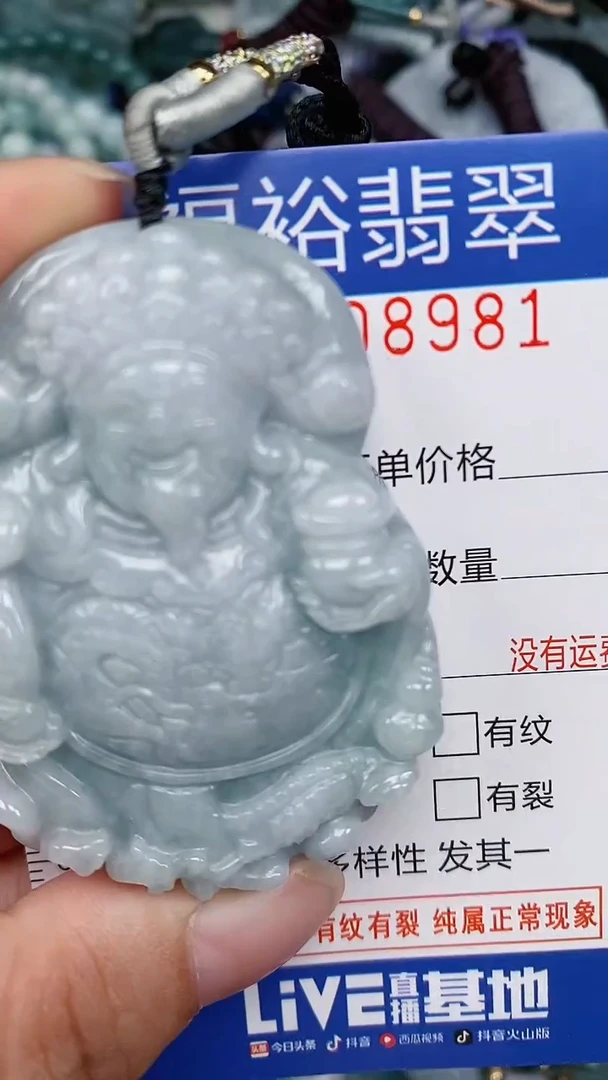 翡翠未镶嵌颈饰...0008981