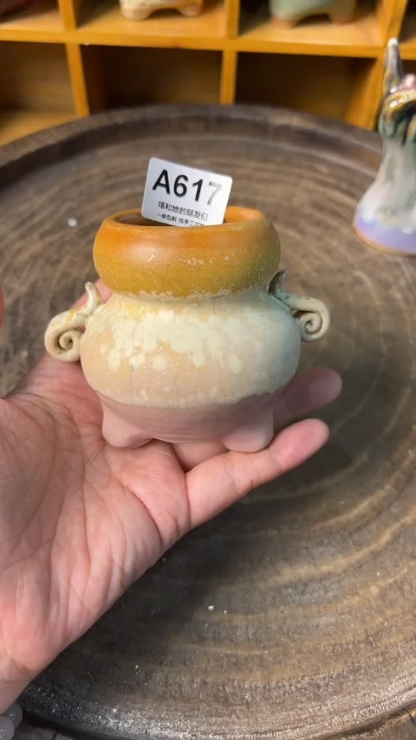 617 内口4【多肉花盆多肉盆】