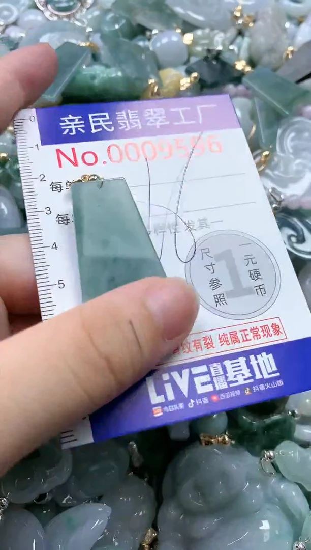 翡翠未镶嵌吊坠(不含链)9596