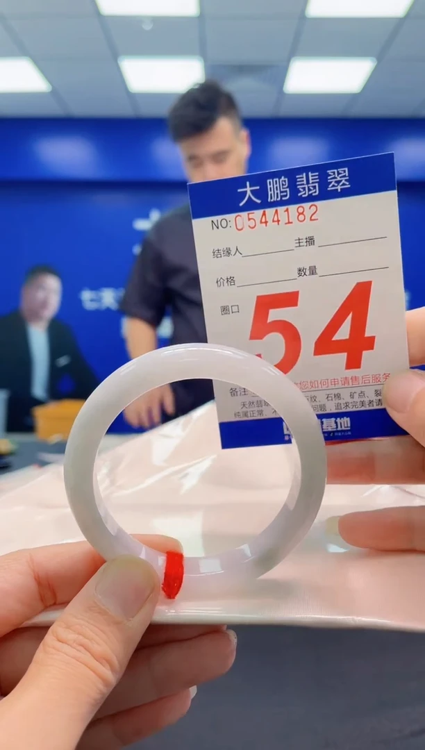 未镶嵌手镯翡翠AAAAAAAAA