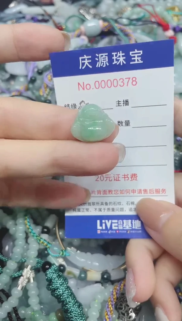 翡翠未镶嵌颈饰024