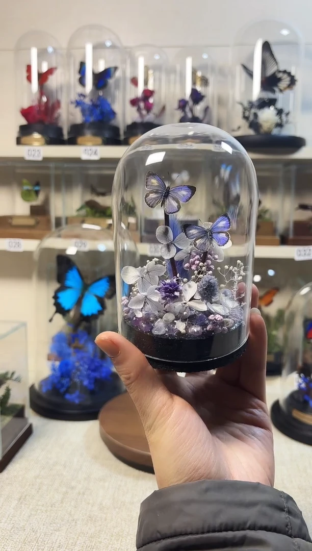 大自然的真实蝴蝶标本