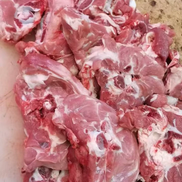 新鲜满肉白山羊蝎子
