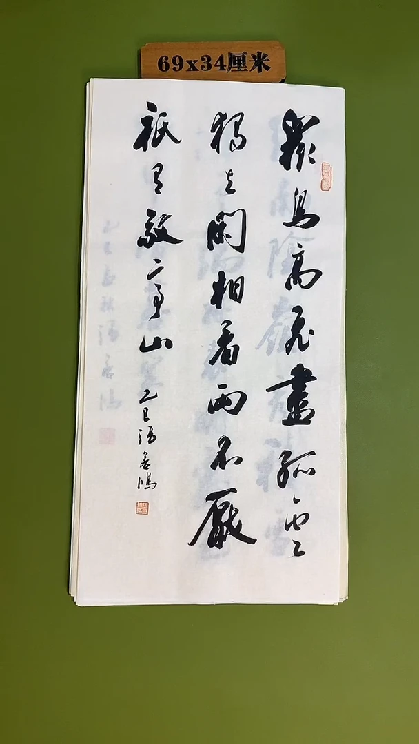 书法书法 张若鸿 尺寸69cm*34cm