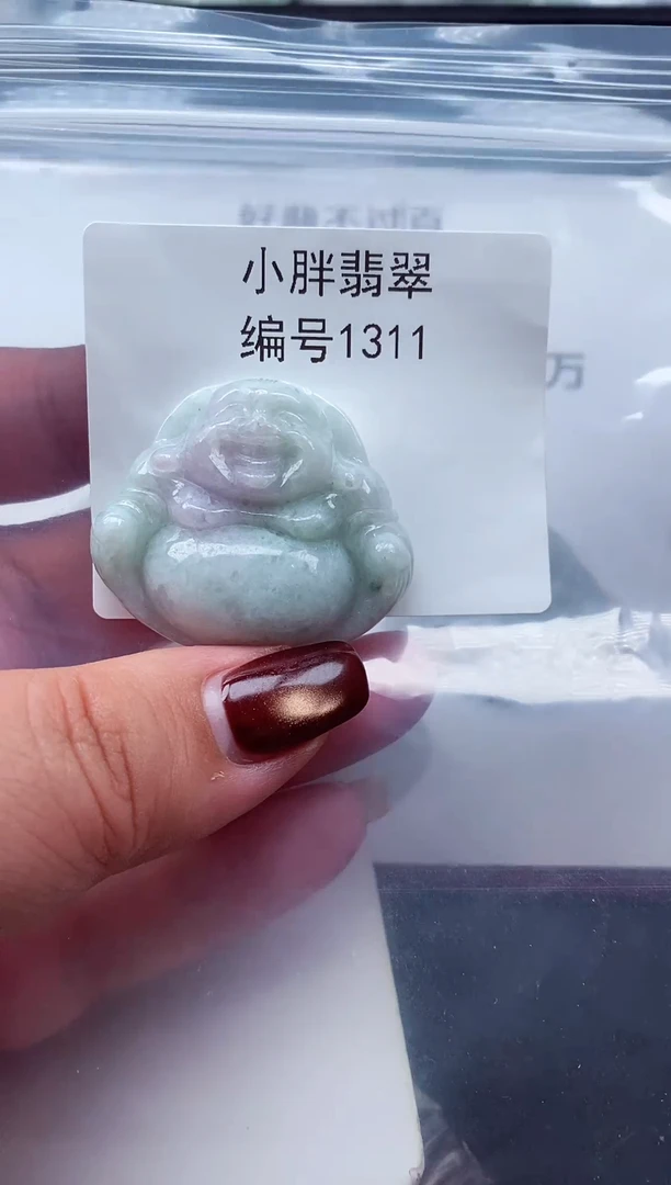 颈饰未镶嵌翡翠缅甸天然A货翡翠1311