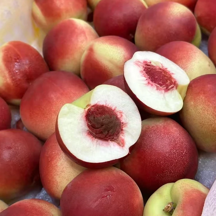 【陈灵岳甄选】新疆优选珍珠枣油桃特大果一份 净重3-5斤