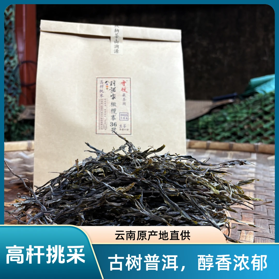 【橄榄寨36号高杆挑采120g】云牧版纳茶山溯源橄榄寨晒青茶120g