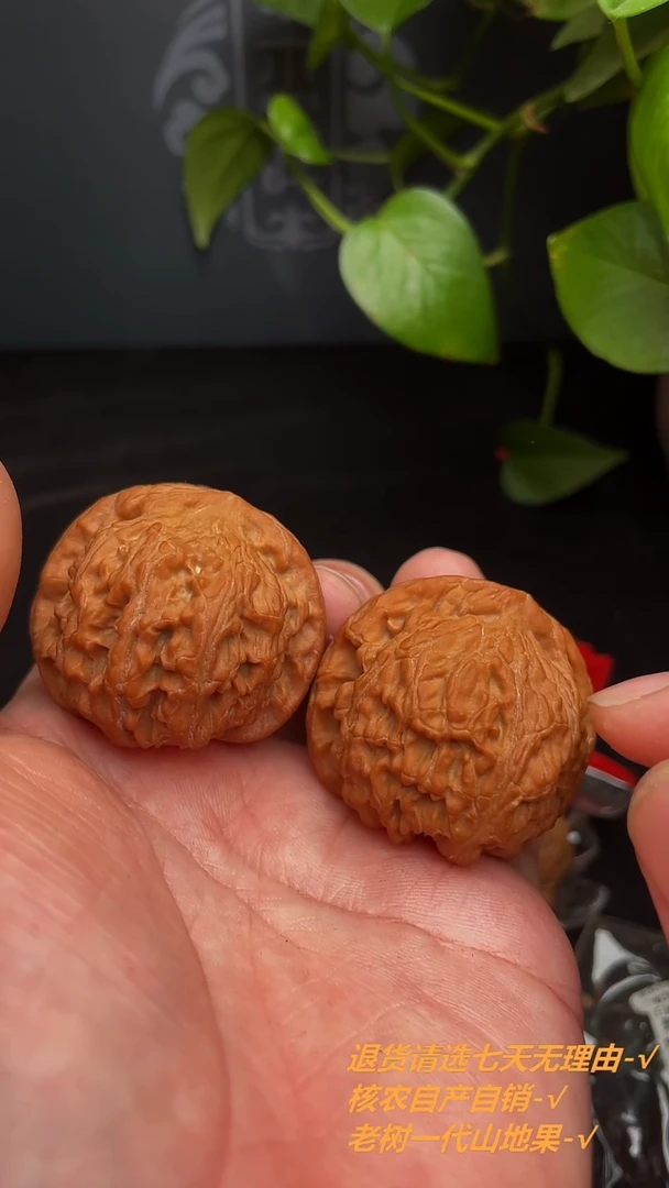 【闪购商品】文玩核桃把件43尺红狮子，团（全品白茬）