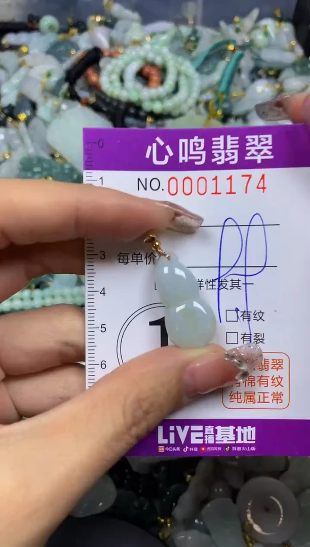 【闪购商品】翡翠颈饰未镶嵌闪购001174