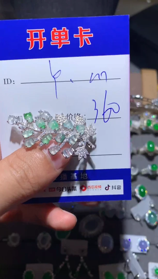 【闪购商品】翡翠颈饰银S925镶嵌 定向 Y.m