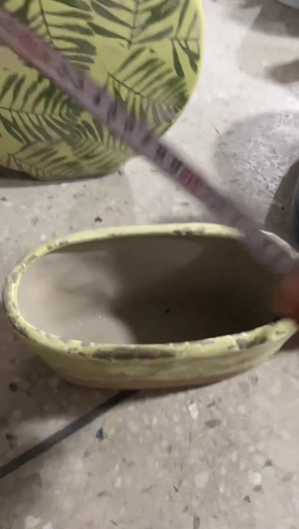 花盆高12.5cm口径22cm