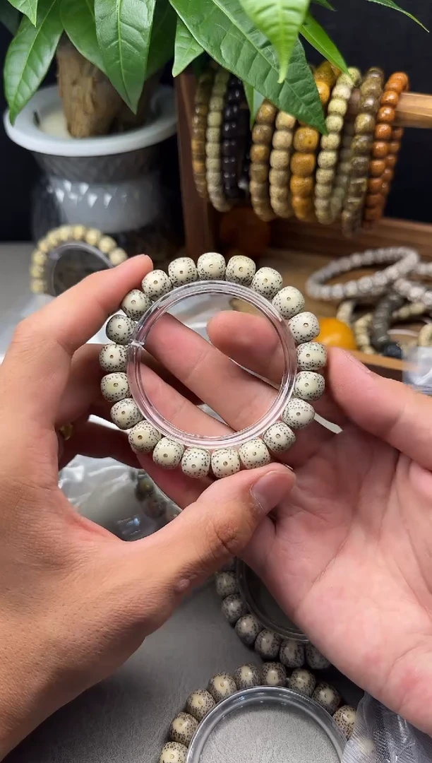 星月菩提手串【黄金瞳】原生态 尺寸11*10左右