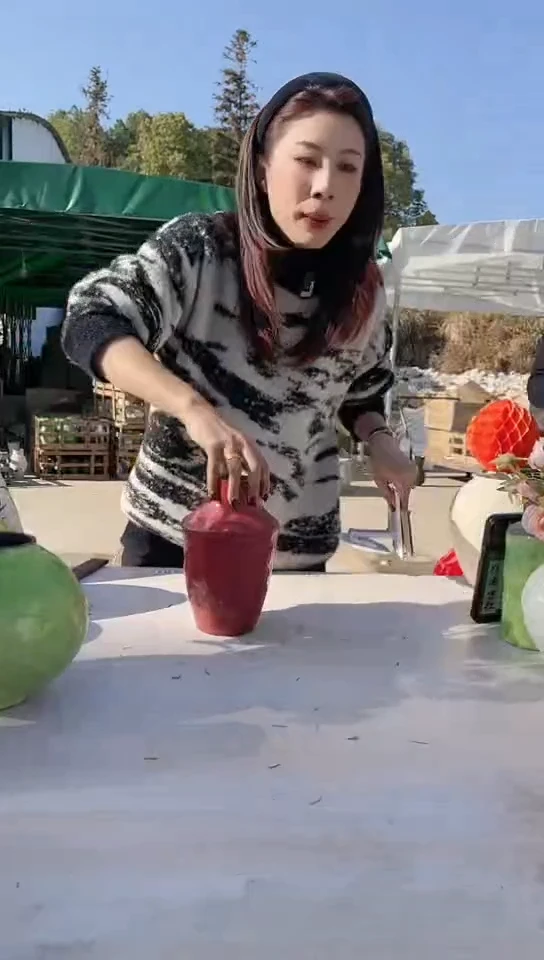 【闪购商品】陶瓷景德镇手工陶瓷推