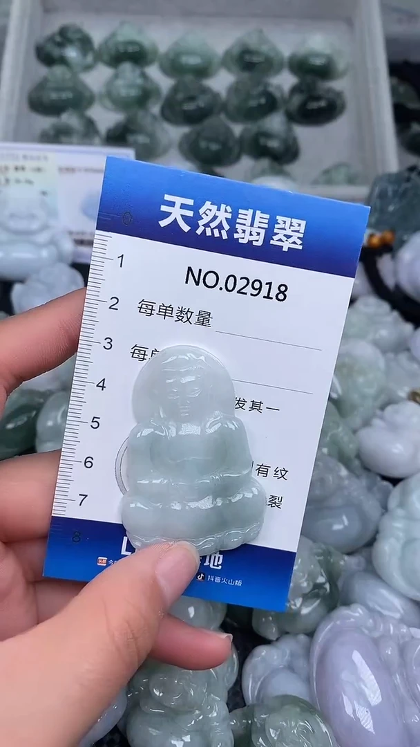 颈饰未镶嵌翡翠纯天然A货翡翠2918