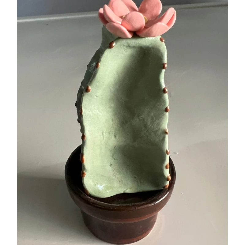 【陶珊居】大多肉（本0088）