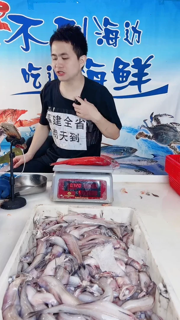 中国大陆英2斤石九公