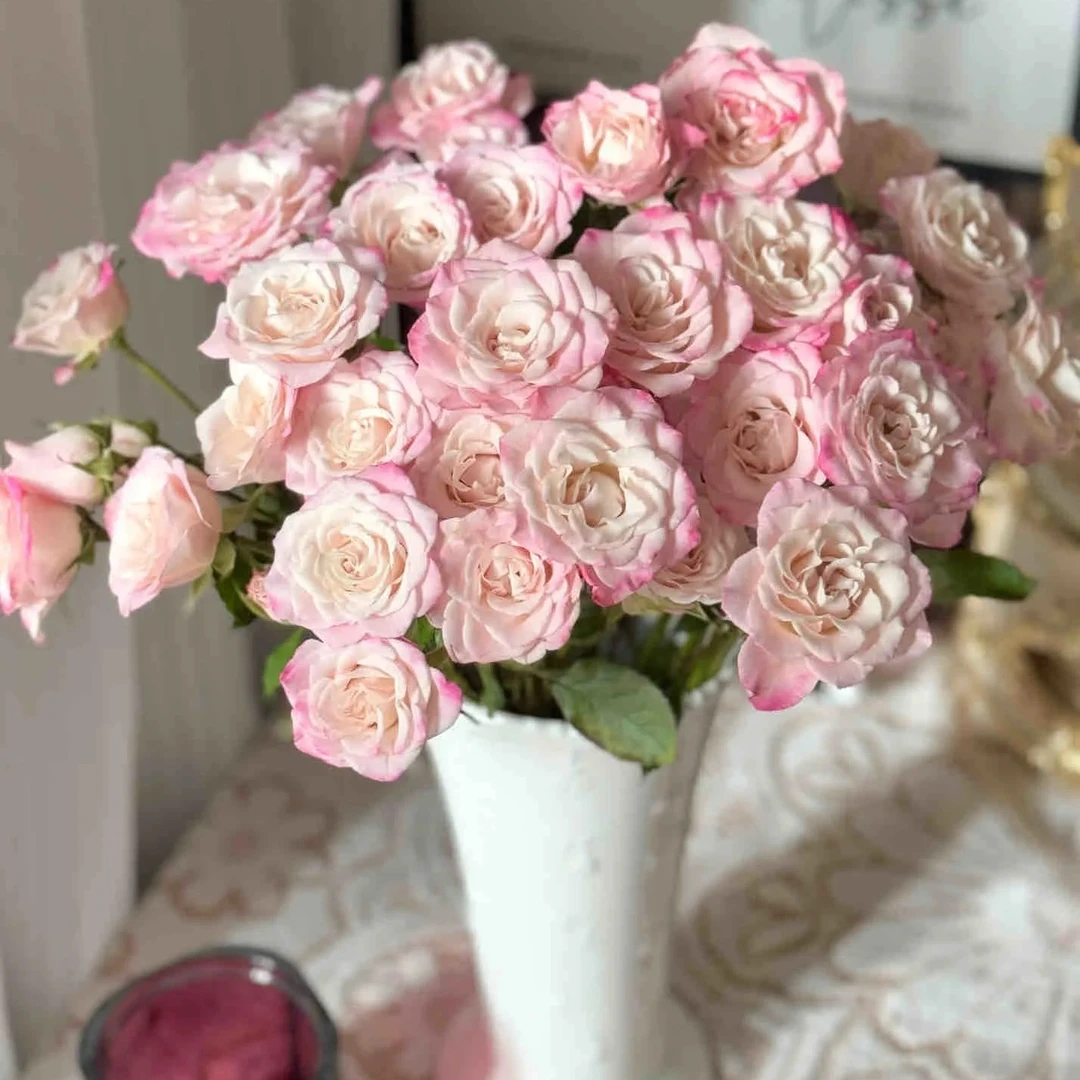 加购【最初的梦想】玫瑰鲜花/花束 云南鲜花基地直发