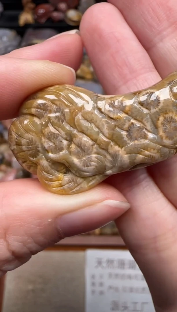 硅化珊瑚（珊瑚玉）未镶嵌颈饰777